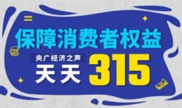 在线观看 315,揭秘消费陷阱，守护消费者权益